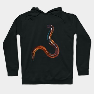 Creepy Cute Earthworm Sticker Hoodie